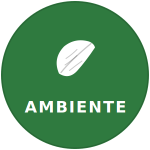 Medio Ambiente
